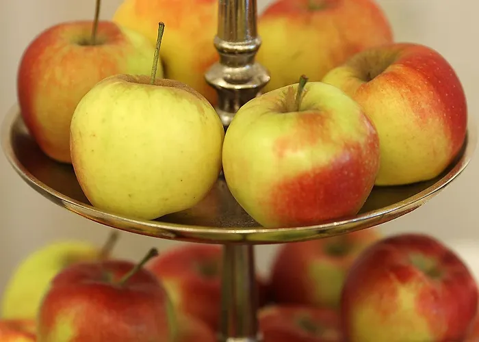 Отель Brenner Кобленц